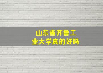 山东省齐鲁工业大学真的好吗