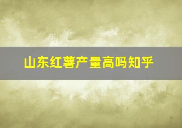 山东红薯产量高吗知乎