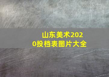 山东美术2020投档表图片大全