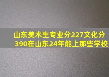 山东美术生专业分227文化分390在山东24年能上那些学校