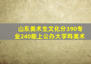 山东美术生文化分390专业240能上公办大学吗美术