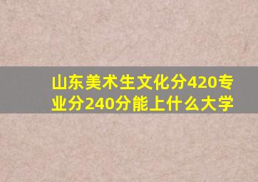 山东美术生文化分420专业分240分能上什么大学