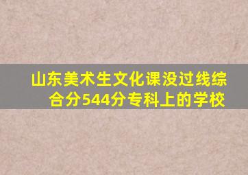 山东美术生文化课没过线综合分544分专科上的学校