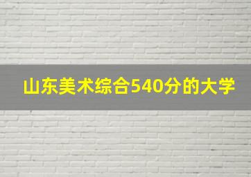 山东美术综合540分的大学