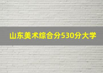 山东美术综合分530分大学