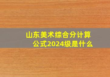 山东美术综合分计算公式2024级是什么