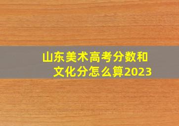 山东美术高考分数和文化分怎么算2023