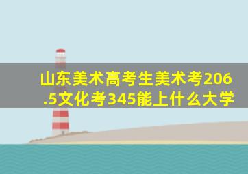 山东美术高考生美术考206.5文化考345能上什么大学