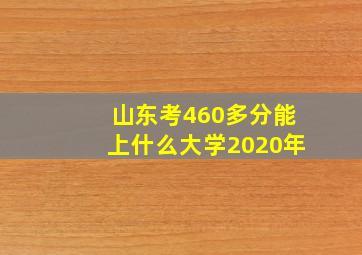 山东考460多分能上什么大学2020年