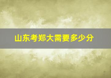 山东考郑大需要多少分