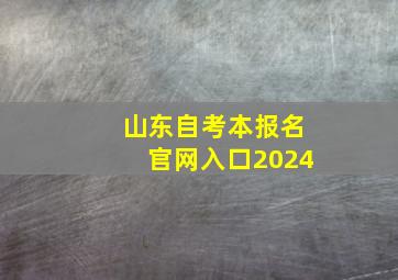 山东自考本报名官网入口2024