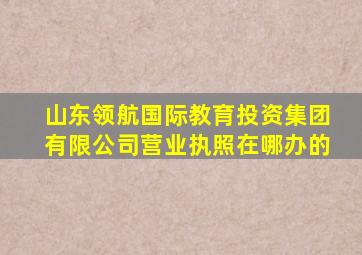 山东领航国际教育投资集团有限公司营业执照在哪办的