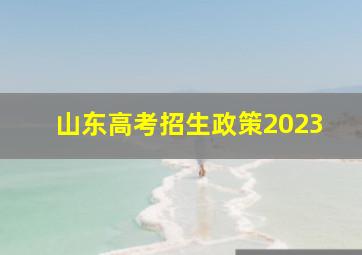 山东高考招生政策2023