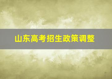 山东高考招生政策调整