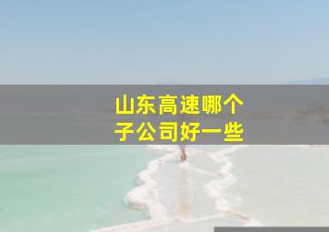 山东高速哪个子公司好一些