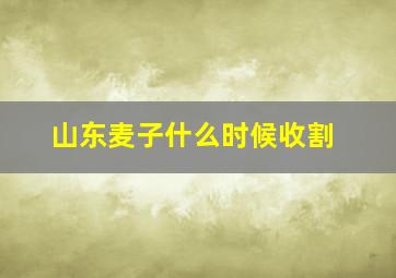 山东麦子什么时候收割