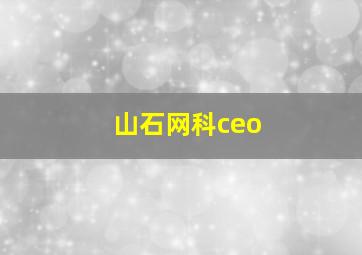 山石网科ceo