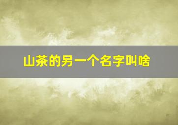 山茶的另一个名字叫啥