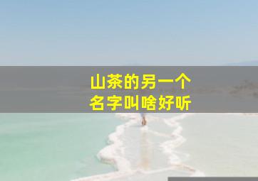 山茶的另一个名字叫啥好听