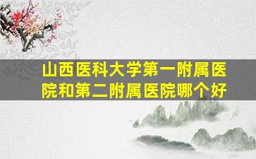 山西医科大学第一附属医院和第二附属医院哪个好