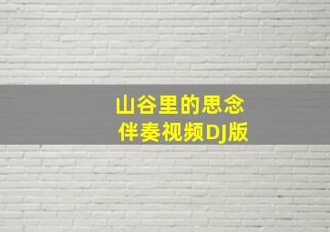 山谷里的思念伴奏视频DJ版