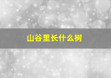 山谷里长什么树