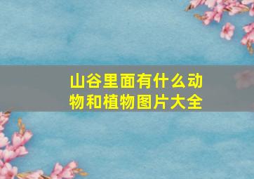 山谷里面有什么动物和植物图片大全