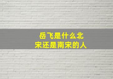 岳飞是什么北宋还是南宋的人