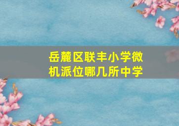 岳麓区联丰小学微机派位哪几所中学