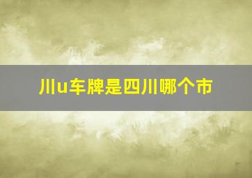 川u车牌是四川哪个市