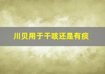 川贝用于干咳还是有痰