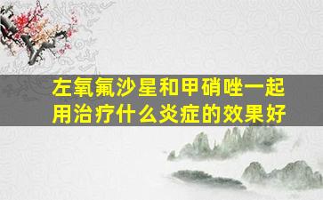 左氧氟沙星和甲硝唑一起用治疗什么炎症的效果好