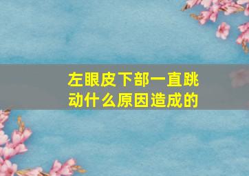 左眼皮下部一直跳动什么原因造成的