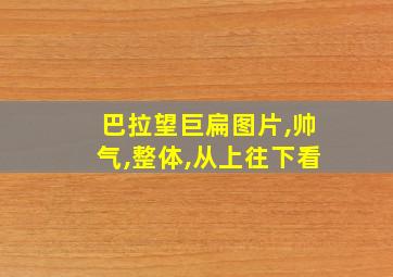 巴拉望巨扁图片,帅气,整体,从上往下看