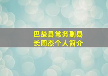 巴楚县常务副县长周杰个人简介