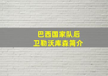 巴西国家队后卫勒沃库森简介