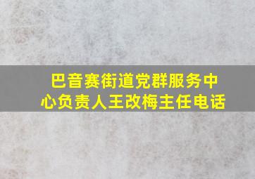 巴音赛街道党群服务中心负责人王改梅主任电话