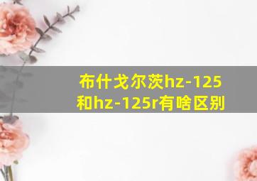 布什戈尔茨hz-125和hz-125r有啥区别