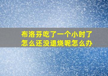 布洛芬吃了一个小时了怎么还没退烧呢怎么办