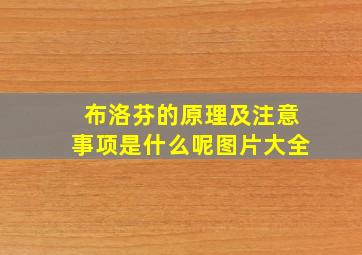 布洛芬的原理及注意事项是什么呢图片大全