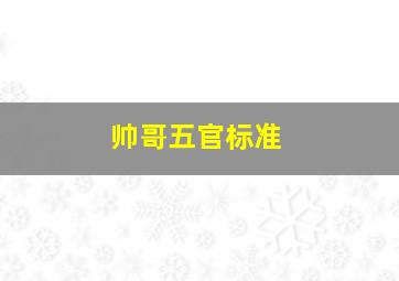 帅哥五官标准