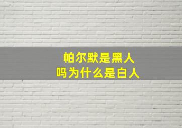 帕尔默是黑人吗为什么是白人