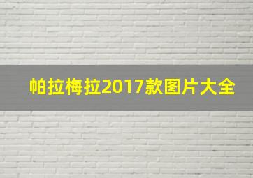 帕拉梅拉2017款图片大全