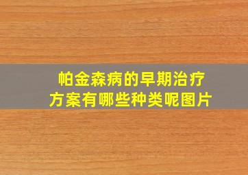 帕金森病的早期治疗方案有哪些种类呢图片