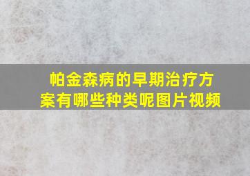 帕金森病的早期治疗方案有哪些种类呢图片视频