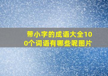 带小字的成语大全100个词语有哪些呢图片