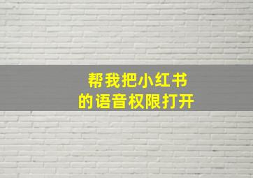 帮我把小红书的语音权限打开