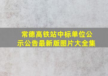 常德高铁站中标单位公示公告最新版图片大全集