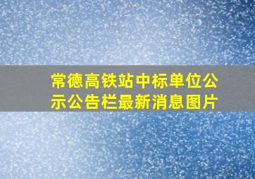 常德高铁站中标单位公示公告栏最新消息图片