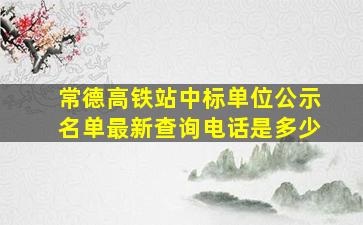 常德高铁站中标单位公示名单最新查询电话是多少